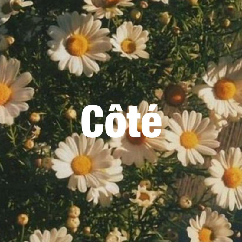 coteへの行き方とCôté周辺の人気があるお店5選